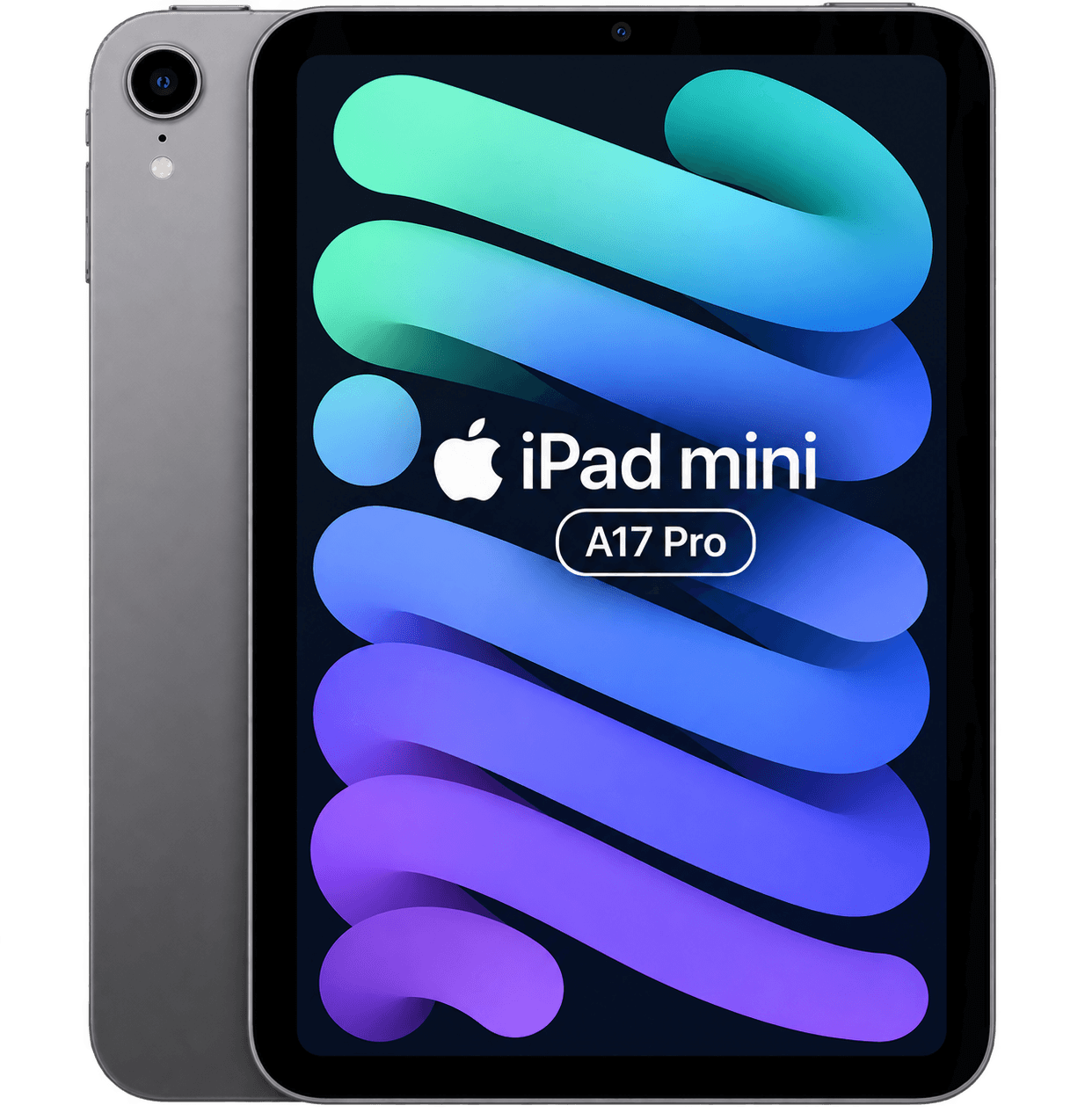 iPad mini — Space Gray